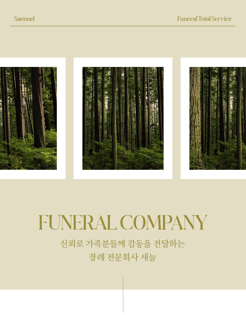 장례 전문회사 새늘 소개 — 숲 사진 3분할과 FUNERAL COMPANY 문구